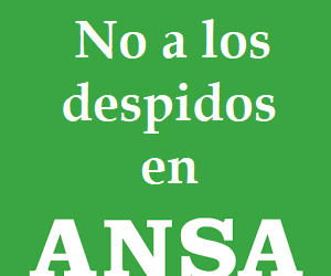 ansa-logo.png