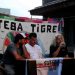 tato_en_tigre_01_by_graciela_v.jpg