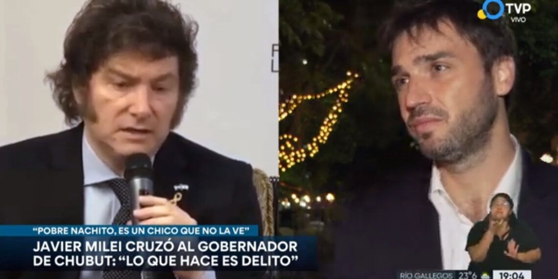 ¿A dónde está la libertad? Televisión Pública: el ente de calificación nacional de Milei