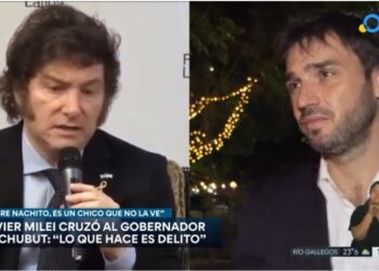 ¿A dónde está la libertad? Televisión Pública: el ente de calificación nacional de Milei