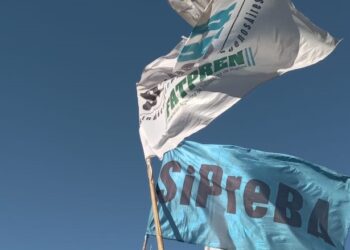 Ley de Acceso a la Información Pública: alertamos por las restricciones al derecho a la información y la libertad de expresión